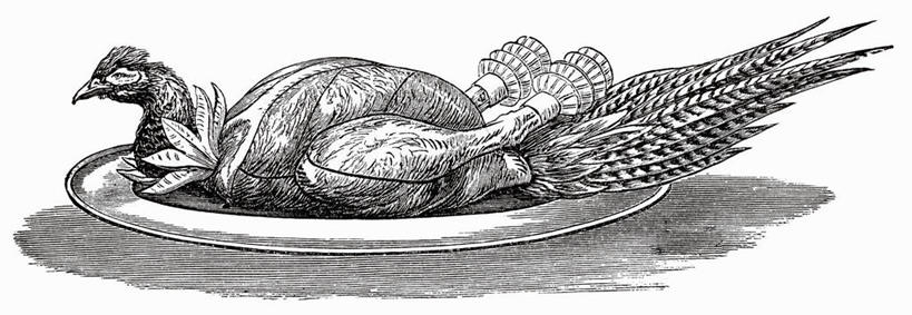 无人,横图,黑白,室内,特写,白天,白色背景,正面,烹饪,数码,科技,植物,桌面,桌子,餐具,叶子,阴影,反射,网络,木制,碟子,盘,纹理,影子,鸡肉,肉,料理,食品,绿叶,高光,几何,计算机图形,合成,菜肴,美食,肉类,食物,一个,绿色,盘子,木制品,碟,嫩叶,烤鸡,佳肴,单个,电脑合成图,数码合成图,合成图,肉食,肌理,写实,具体,具象,叶,叶片,叶脉