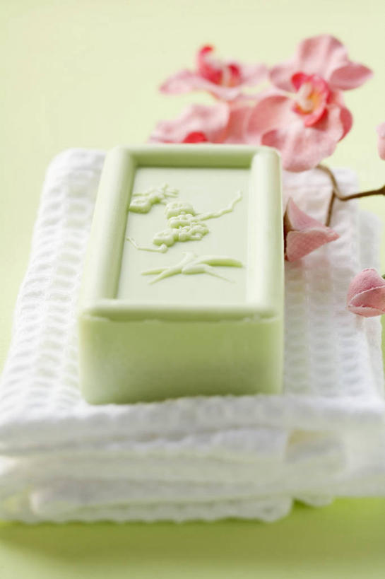 无人,竖图,俯视,室内,特写,白天,化妆,美容,桌面,桌子,一块,护肤,绿色背景,阴影,盛开,反射,木制,纺织物,影子,花蕾,花,花瓣,花朵,鲜花,化妆品,木制品,肥皂,毛巾,香皂,日用品,洗浴用品,花苞,花蕊,清洁,保养,享受,休闲,放松,保健,摄影,影棚,保暖,高雅,护肤品,化妆用品,护肤用品,舒缓,透气,养颜,防水,去污,紧肤,嫩肤,淡泊,花中君子,储水,耐磨,吸水,兰花,洗涤,彩图,高角度拍摄,影棚拍摄,拍摄