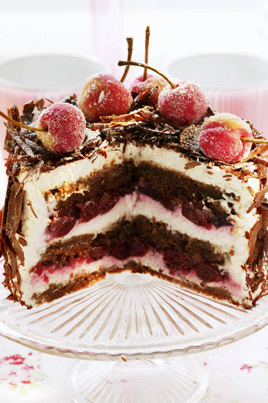 点心,无人,竖图,俯视,室内,特写,白天,下午茶,桌面,桌子,樱桃,餐具,水果,阴影,新鲜,反射,木制,碟子,盘,影子,生食,食品,糖,糖果,甜点,甜品,果实,食物,糕点,一个,盘子,木制品,碟,甜食,奶油,巧克力,有机食品,绿色食品,单个,朱古力,黑巧克力,乳制品,激凌,克林姆,淇淋,黑森林,樱珠,莺桃,英桃,楔桃,牛桃,荆桃,彩图,高角度拍摄,黑森林蛋糕,黑森林樱桃蛋糕,蛋糕