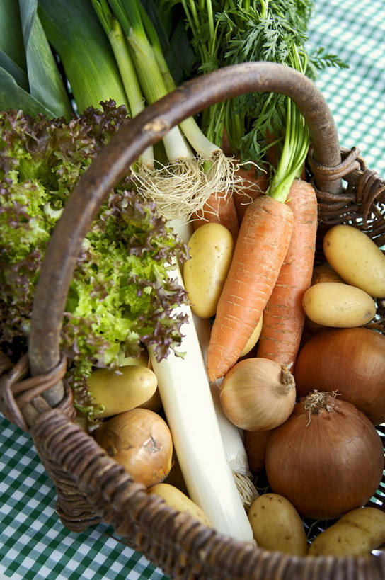 无人,交叉,竖图,俯视,室内,特写,白天,植物,桌面,桌子,竹子,萝卜,胡萝卜,芹菜,蔬菜,土豆,洋葱,叶子,一堆,许多,阴影,堆叠,堆积,竹制,新鲜,编织,反射,木制,布料,篮子,纹理,影子,食品,绿叶,很多,布纹,桌布,食物,一个,绿色,餐巾,木制品,竹篮,台布,嫩叶,有机食品,绿色食品,单个,竹条,堆,交织,竹制品,玉葱,肌理,馍馍蛋,穿插,叶,叶片,叶脉,圆葱,药芹,洋芋,洋葱头,水芹,山药蛋,球葱,马铃薯,红萝卜,旱芹,甘荀,葱头,彩图,高角度拍摄