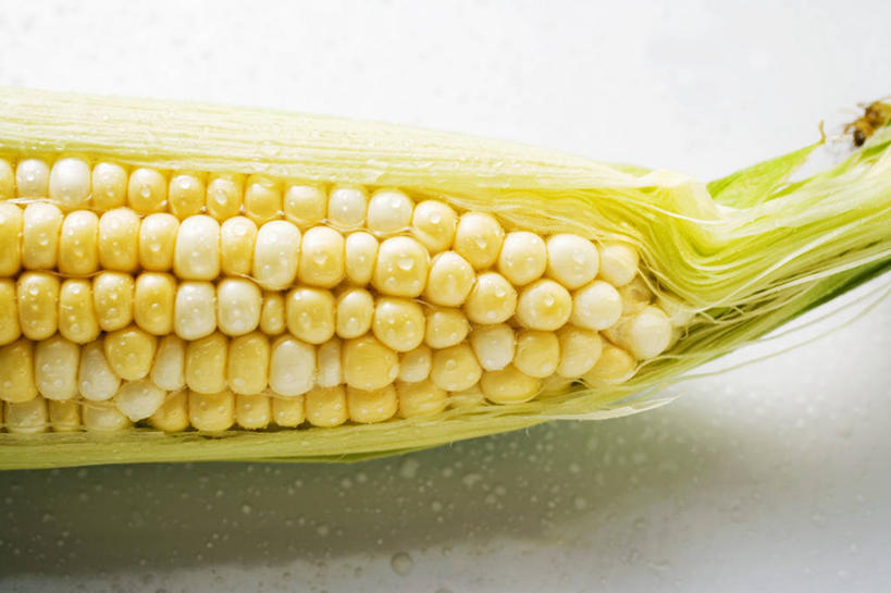 无人,横图,俯视,室内,特写,白天,白色背景,玉米,桌面,桌子,蔬菜,阴影,新鲜,反射,木制,棒子,影子,玉蜀黍,食品,食物,一个,黄色,木制品,摄影,有机食品,绿色食品,影棚,单个,苞米,苞芦,苞谷,包谷,大蜀黍,番麦,薏米包,玉高粱,玉麦,珍珠米,彩图,高角度拍摄,影棚拍摄,拍摄