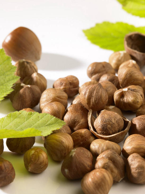 无人,竖图,俯视,室内,特写,白天,白色背景,植物,桌面,桌子,水果,叶子,一堆,许多,阴影,堆叠,堆积,新鲜,反射,木制,纹理,影子,生食,食品,坚果,果实,绿叶,很多,食物,绿色,木制品,干果,嫩叶,摄影,有机食品,绿色食品,影棚,堆,榛子,肌理,山板栗,叶,叶片,叶脉,彩图,高角度拍摄,影棚拍摄,拍摄