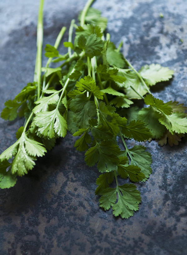 无人,竖图,俯视,室内,特写,白天,植物,桌面,桌子,蔬菜,叶子,阴影,新鲜,反射,木制,纹理,影子,香菜,食品,绿叶,食物,绿色,木制品,嫩叶,有机食品,绿色食品,胡菜,香荽,原荽,园荽,芫荽,肌理,胡荽,莞荽,芫茜,芫蓿,莚葛草,莚荽菜,叶,叶片,叶脉,彩图,高角度拍摄