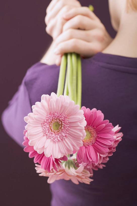 西方人,手,一个人,站,竖图,室内,特写,白天,欧洲,欧洲人,双手,仅一个年轻女性,仅一个女性,仅一个人,握,紫色背景,服装,盛开,非洲菊,拿,花蕾,拿着,休闲装,花,花瓣,花朵,鲜花,背面,衣服,粉色,紫色,花苞,花蕊,站着,休闲,手部,休闲服,菊花,握着,摄影,服饰,影棚,扶郎花,灯盏花,千日菊,年轻女性,女人,女性,白种人,站立,半身,彩图,影棚拍摄,拍摄