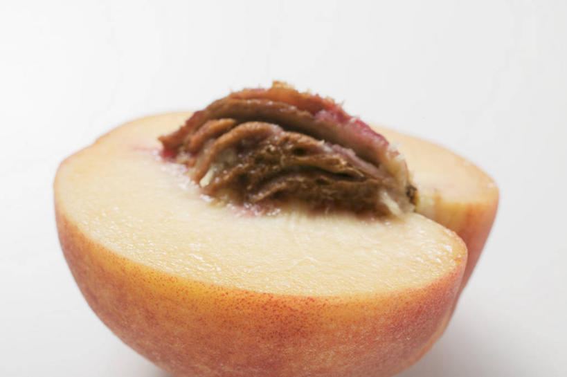 无人,横图,俯视,室内,特写,白天,白色背景,餐桌,桌子,桃子,水果,切开,阴影,新鲜,反射,影子,生食,食品,果实,半个,食物,切,一半,摄影,有机食品,绿色食品,影棚,餐台,剖面,切面,肺果,彩图,高角度拍摄,影棚拍摄,拍摄