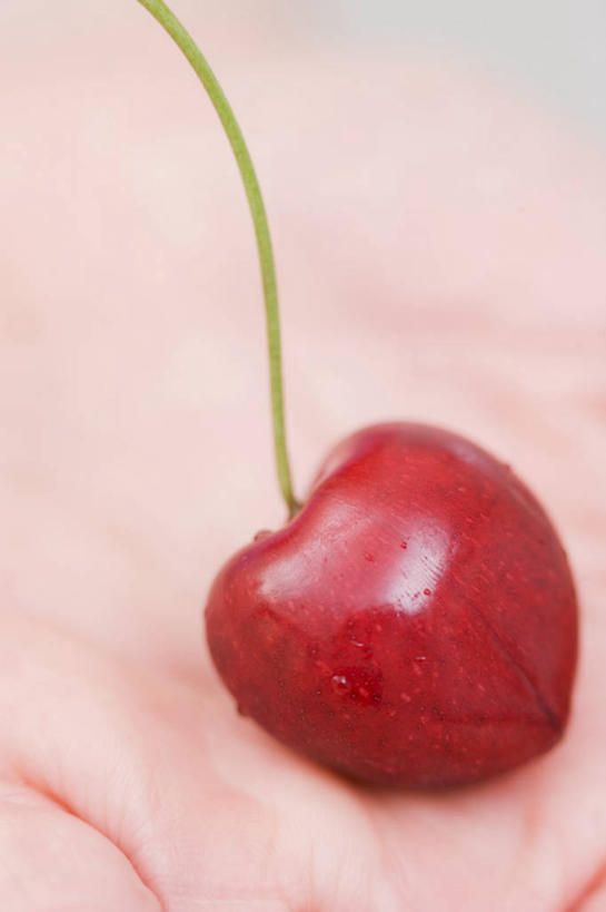 西方人,手,一个人,捧,竖图,俯视,室内,特写,白天,樱桃,水果,欧洲,欧洲人,仅一个年轻女性,仅一个女性,仅一个人,朦胧,模糊,新鲜,生食,食品,果实,一颗,食物,红色,手部,有机食品,绿色食品,单手,年轻女性,女人,女性,白种人,樱珠,莺桃,英桃,楔桃,牛桃,荆桃,端,端着,捧着,手捧,半身,彩图,高角度拍摄