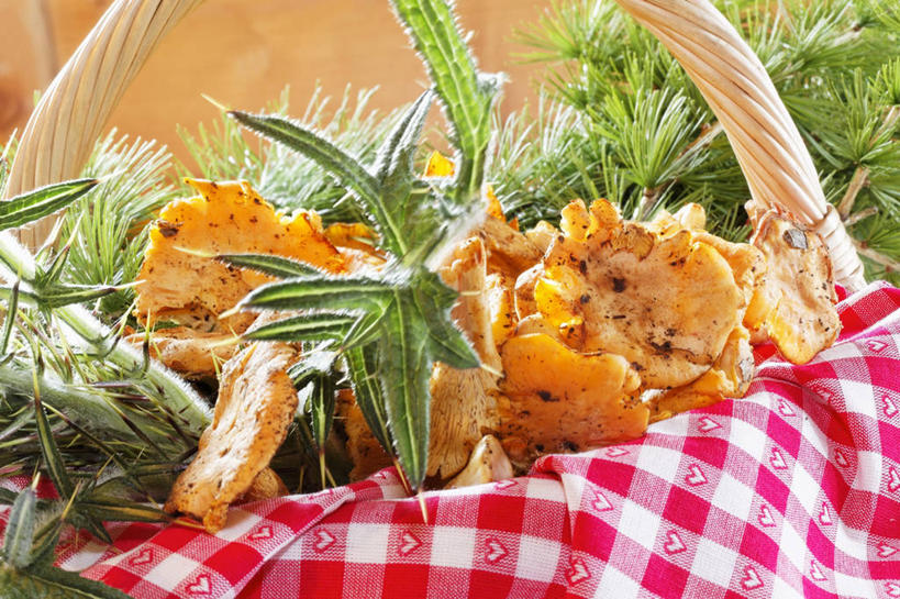 无人,交叉,横图,俯视,室内,特写,白天,餐桌,桌子,竹子,蔬菜,叶子,纺织品,一堆,许多,阴影,堆叠,堆积,竹制,新鲜,编织,反射,布,篮子,影子,菌菇,食品,绿叶,织物,很多,菌类,抹布,食物,一个,竹篮,嫩叶,食用菌,有机食品,绿色食品,单个,餐台,竹条,堆,交织,竹制品,鸡油菌,穿插,杏黄菌,杏菌,叶,叶片,彩图,高角度拍摄