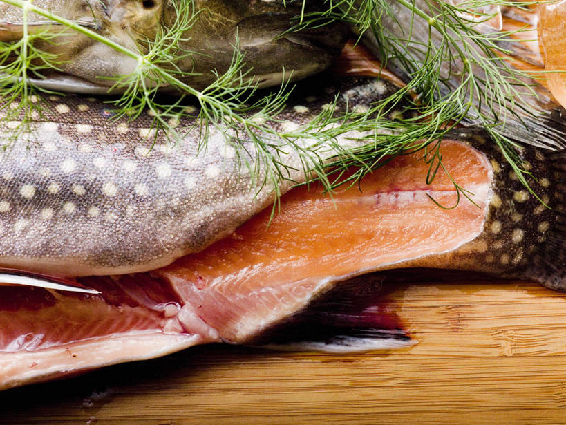 三文鱼,无人,横图,俯视,室内,特写,白天,餐桌,桌子,鲑鱼,叶子,阴影,反射,影子,肉,鱼肉,绿叶,肉类,嫩叶,餐台,大马哈鱼,肉食,莳萝,撒蒙鱼,萨门鱼,冰海之皇,鲑,洋茴香,土茴香,马哈鱼,麻哈鱼,大麻哈鱼,叶,叶片,彩图,高角度拍摄,红点鲑