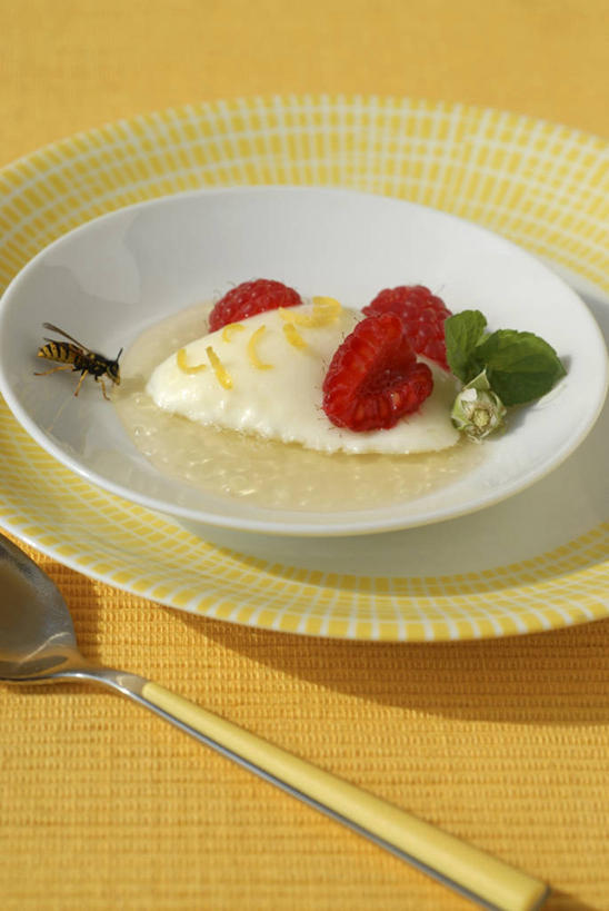 点心,蜂蜜,无人,竖图,俯视,室内,特写,白天,餐桌,桌子,柠檬,餐具,水果,阴影,黄色背景,新鲜,反射,碟子,盘,影子,勺子,生食,食品,甜点,甜品,果实,慕斯蛋糕,食物,三个,盘子,调羹,碟,汤匙,甜食,零食,摄影,有机食品,绿色食品,影棚,餐台,慕斯,花蜜,止痛,解毒,冬酿,石蜜,益母果,柠果,彩图,高角度拍摄,影棚拍摄,拍摄,柠檬慕斯蛋糕