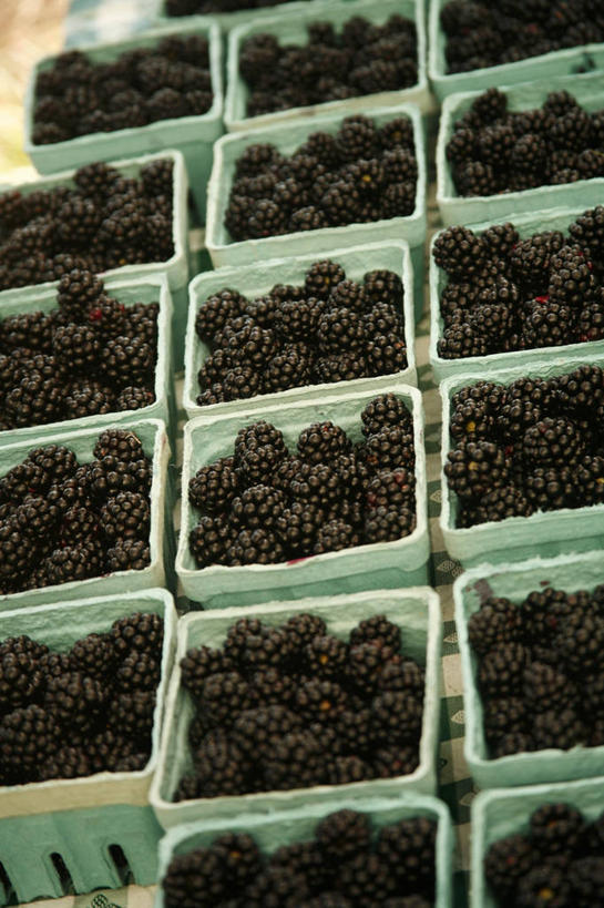 无人,菜场,竖图,俯视,室内,特写,白天,购物,消费,黑莓,水果,一堆,一排,许多,阴影,堆叠,堆积,新鲜,整齐,并列,并排,反射,影子,塑料,生食,食品,果实,集市,市场,很多,盒子,食物,排列,容器,塑料制品,金融,有机食品,绿色食品,储藏,堆,储存,队列,平行,选购,贸易,露莓,菜市,彩图,高角度拍摄,菜市场,贮存