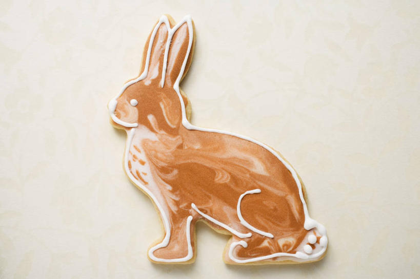 点心,无人,横图,俯视,室内,特写,白天,白色背景,餐桌,桌子,哺乳动物,复活节,一块,阴影,节日,庆祝,反射,兔子,影子,食品,曲奇,文化,食物,动物,饼干,零食,庆典,摄影,影棚,餐台,纪念,兔,曲奇饼,曲奇饼干,彩图,高角度拍摄,影棚拍摄,拍摄