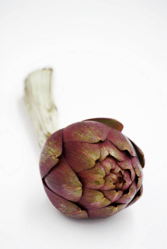 无人,竖图,俯视,室内,特写,白天,白色背景,餐桌,桌子,蔬菜,阴影,新鲜,反射,影子,朝鲜蓟,食品,食物,一个,紫色,洋蓟,摄影,有机食品,绿色食品,影棚,单个,餐台,彩图,高角度拍摄,影棚拍摄,拍摄,菜蓟,法国百合,球洋蓟,蔬菜之皇,洋百合