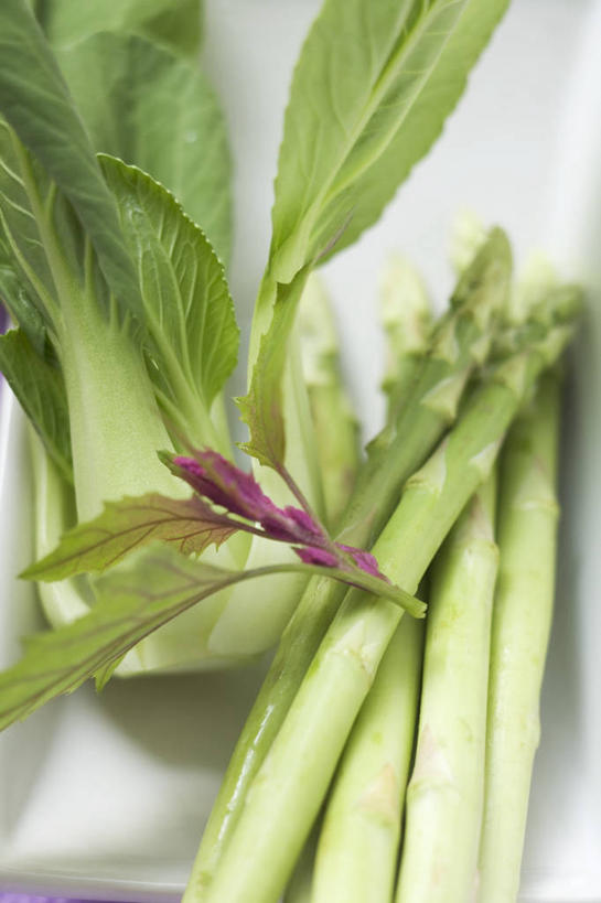 无人,竖图,俯视,室内,特写,白天,白色背景,餐桌,桌子,芦笋,蔬菜,叶子,阴影,新鲜,反射,影子,绿芦笋,青菜,食品,绿叶,食物,绿色,嫩叶,摄影,有机食品,绿色食品,影棚,餐台,小白菜,不结球白菜,叶,叶片,猪尾巴,药鸡豆子,石刁柏,蚂蚁杆,龙须菜,狼尾巴根,彩图,高角度拍摄,影棚拍摄,拍摄