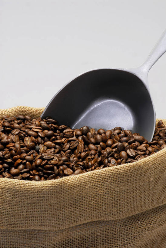 咖啡,无人,竖图,俯视,室内,特写,白天,白色背景,植物,餐桌,桌子,豆,袋子,一堆,许多,阴影,堆叠,堆积,反射,影子,勺子,豆类,豆子,褐色,很多,麻袋,两个,容器,调羹,汤匙,咖啡豆,摄影,影棚,餐台,储藏,堆,储存,豆科,咖啡因,彩图,高角度拍摄,影棚拍摄,拍摄,贮存