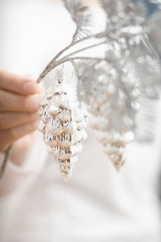 西方人,手,一个人,竖图,室内,特写,白天,正面,植物,欧洲,圣诞节,欧洲人,仅一个年轻女性,仅一个女性,仅一个人,握,节日,朦胧,模糊,庆祝,装饰,枝条,拿,拿着,文化,装饰品,树,树木,树枝,装饰物,庆典,手部,握着,纪念,单手,华丽,修饰,点缀,饰物,衬托,美观,雅致,雅观,虬枝,枝杈,年轻女性,女人,女性,白种人,半身,彩图