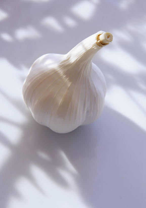 无人,竖图,俯视,室内,特写,白天,白色背景,餐桌,桌子,蔬菜,蒜,阴影,新鲜,反射,影子,食品,蒜头,食物,一个,白色,摄影,有机食品,绿色食品,影棚,单个,餐台,胡蒜,大蒜,彩图,高角度拍摄,影棚拍摄,拍摄