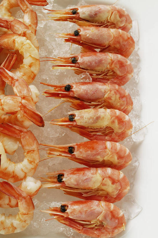 海鲜,无人,竖图,俯视,室内,特写,白天,一排,许多,阴影,整齐,反射,影子,冰,虾,冰块,冷冻,水产,大虾,海洋生物,排列,寒冷,对虾,冷藏,冰冷,队列,水生动物,海产品,水生物,海底动物,斑节虾,保鲜,东方对虾,中国对虾,彩图,高角度拍摄