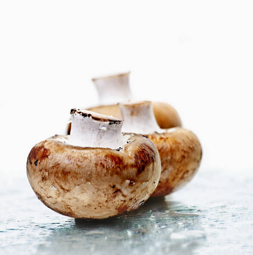 无人,竖图,俯视,室内,特写,白天,白色背景,餐桌,桌子,蔬菜,阴影,新鲜,反射,影子,菌菇,蘑菇,食品,菌类,食物,三个,食用菌,摄影,有机食品,绿色食品,影棚,餐台,彩图,高角度拍摄,影棚拍摄,拍摄