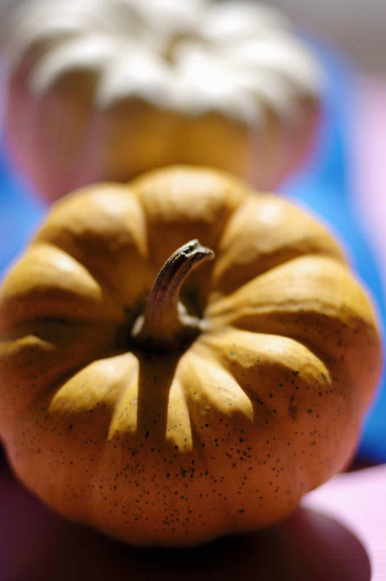 无人,竖图,俯视,室内,特写,白天,餐桌,桌子,南瓜,蔬菜,阴影,朦胧,模糊,新鲜,反射,影子,金瓜,食品,番瓜,食物,两个,金色,有机食品,绿色食品,餐台,麦瓜,倭瓜,彩图,高角度拍摄