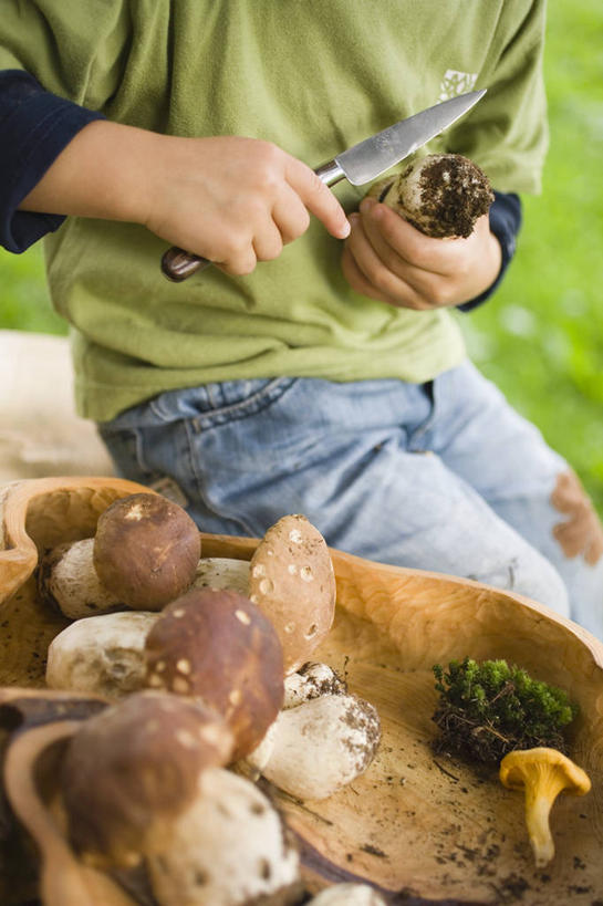 西方人,儿童,一个人,坐,竖图,俯视,室外,白天,纯洁,草地,草坪,植物,蔬菜,欧洲,欧洲人,仅一个男性,仅一个人,许多,握,阴影,服装,朦胧,模糊,新鲜,光线,影子,菌菇,蘑菇,食品,菌类,休闲装,中药,草,食物,小孩,衣服,绿色,阳光,仅一个小孩,休闲,休闲服,食用菌,可爱,童年,童趣,握着,服饰,有机食品,绿色食品,清理,药材,童真,烂漫,无邪,牛肝菌,中药材,美味牛肝菌,大脚菇,天真,男孩,男人,男性,白种人,孩子,清洗,坐着,半身,彩图,高角度拍摄,男生