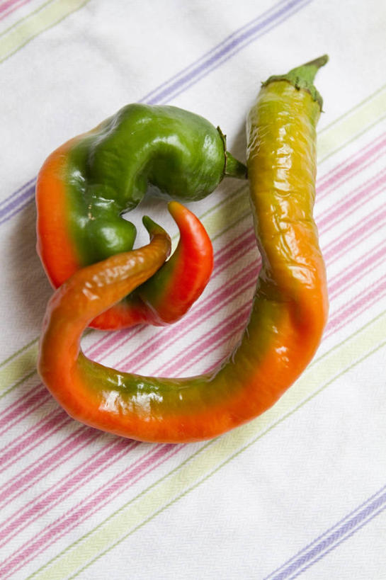 无人,竖图,俯视,室内,特写,白天,餐桌,桌子,辣椒,蔬菜,阴影,新鲜,反射,影子,食品,食物,有机食品,绿色食品,餐台,辣角,红海椒,大椒,辣虎,广椒,辣子,红辣椒,海椒,番椒,彩图,高角度拍摄