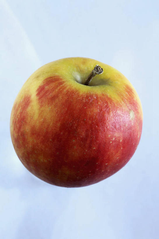 无人,竖图,室内,特写,白天,正面,苹果,水果,阴影,蓝色背景,新鲜,反射,影子,生食,食品,果实,食物,一个,摄影,有机食品,绿色食品,影棚,单个,彩图,影棚拍摄,拍摄,粉红女士苹果