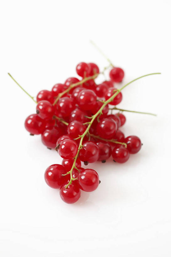 无人,竖图,俯视,室内,特写,白天,白色背景,餐桌,桌子,浆果,水果,许多,阴影,新鲜,反射,影子,灯笼果,生食,食品,果实,食物,红色,摄影,有机食品,绿色食品,影棚,餐台,红醋栗,醋栗,彩图,高角度拍摄,影棚拍摄,拍摄