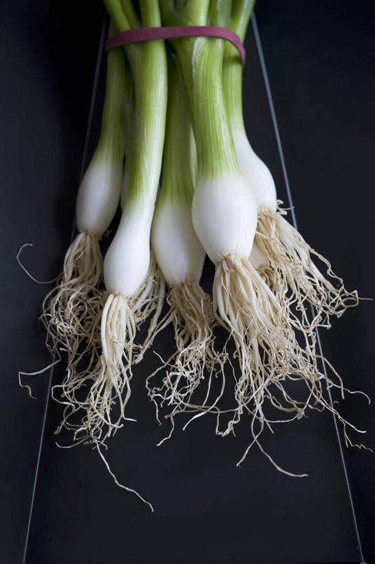 无人,竖图,俯视,室内,特写,白天,蔬菜,许多,阴影,黑色背景,新鲜,反射,影子,葱,青葱,食品,食物,绳子,摄影,有机食品,绿色食品,影棚,捆绑,绳索,绑缚,彩图,高角度拍摄,影棚拍摄,拍摄