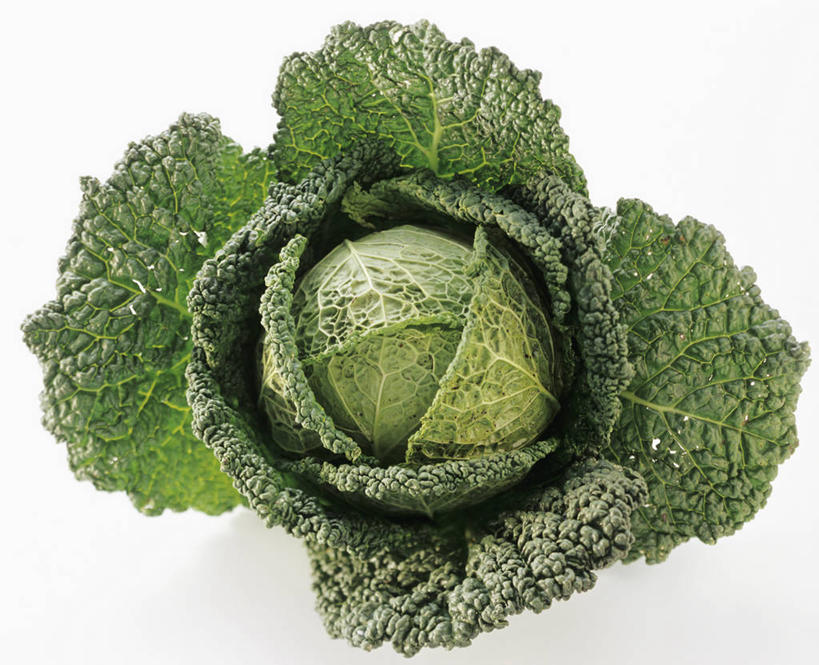 无人,横图,俯视,室内,特写,白天,白色背景,植物,桌面,桌子,蔬菜,椰菜,卷心菜,叶子,阴影,新鲜,反射,木制,纹理,影子,食品,绿叶,食物,一个,绿色,木制品,嫩叶,甘蓝,摄影,有机食品,绿色食品,影棚,单个,肌理,叶,叶片,叶脉,结球甘蓝,甘兰,包心菜,彩图,高角度拍摄,影棚拍摄,拍摄