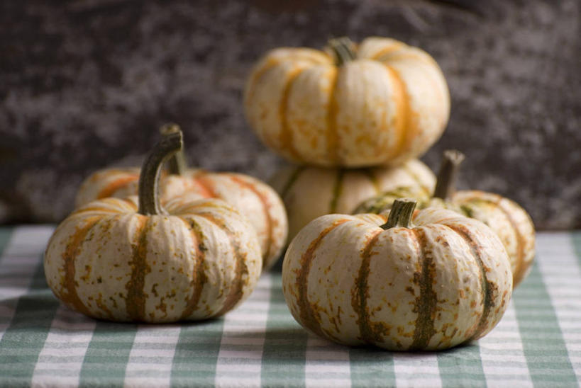 无人,横图,俯视,室内,特写,白天,桌面,桌子,南瓜,蔬菜,一堆,许多,阴影,堆叠,堆积,新鲜,反射,木制,布料,影子,金瓜,食品,很多,布纹,番瓜,桌布,食物,餐巾,木制品,台布,有机食品,绿色食品,堆,麦瓜,倭瓜,彩图,高角度拍摄