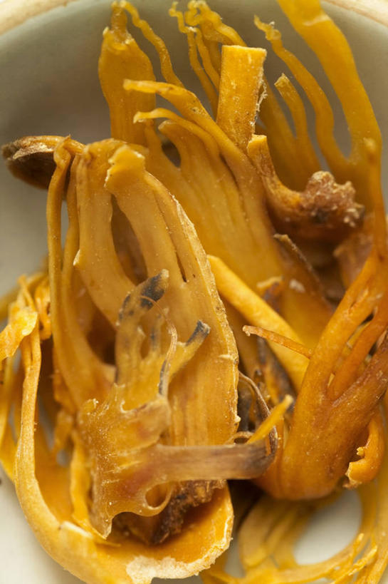 无人,竖图,俯视,室内,特写,白天,植物,桌面,桌子,一堆,许多,阴影,堆叠,堆积,反射,木制,影子,陶瓷,草药,药草,陶瓷制品,很多,中药,一个,木制品,容器,碗,单个,储藏,堆,豆蔻,储存,药材,中草药,中药材,本草,消食,白豆蔻,彩图,高角度拍摄,贮存,开胃