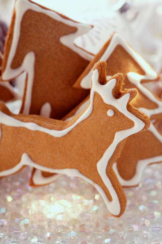 点心,无人,竖图,俯视,室内,特写,白天,幸福,桌面,桌子,哺乳动物,鹿,野生动物,圣诞节,阴影,节日,庆祝,反射,木制,影子,食品,甜点,圣诞树,文化,食物,糕点,动物,木制品,饼干,甜食,零食,庆典,可爱,活泼,纪念,吉祥,姜饼,进取,角鹿,德式姜饼,驯鹿,彩图,高角度拍摄