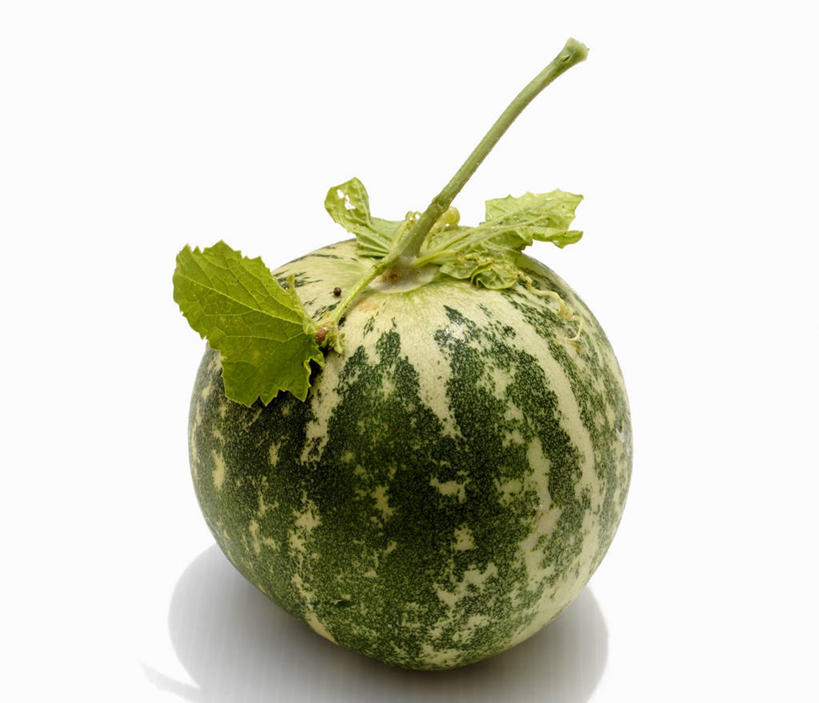 无人,横图,俯视,室内,特写,白天,白色背景,桌面,桌子,黄瓜,蔬菜,叶子,阴影,新鲜,反射,木制,影子,食品,绿叶,食物,一个,绿色,木制品,嫩叶,摄影,有机食品,绿色食品,影棚,单个,叶,叶片,青瓜,胡瓜,彩图,高角度拍摄,影棚拍摄,拍摄