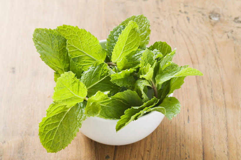 无人,横图,俯视,室内,特写,白天,植物,桌面,桌子,叶子,阴影,反射,木制,纹理,影子,陶瓷,薄荷,绿叶,银丹草,陶瓷制品,一个,绿色,木制品,容器,碗,嫩叶,摄影,影棚,单个,储藏,储存,肌理,斑叶凤梨薄荷,苹果薄荷,夜息香,叶,叶片,叶脉,彩图,高角度拍摄,影棚拍摄,拍摄,贮存