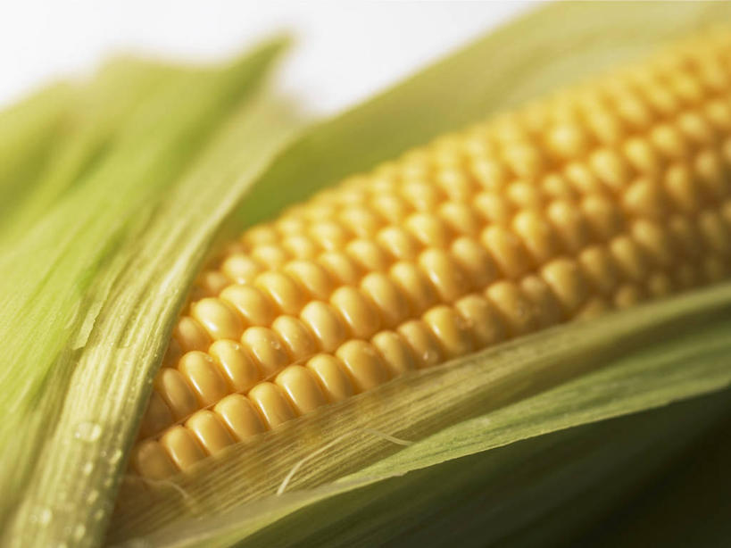 无人,横图,俯视,室内,特写,白天,白色背景,玉米,水,植物,露水,桌面,桌子,蔬菜,叶子,阴影,朦胧,模糊,新鲜,透明,反射,木制,棒子,纹理,液体,影子,水滴,玉蜀黍,食品,绿叶,水珠,食物,一个,黄色,绿色,木制品,露珠,嫩叶,摄影,有机食品,绿色食品,影棚,单个,生机,苞米,剔透,苞芦,苞谷,肌理,灵动,包谷,大蜀黍,番麦,薏米包,玉高粱,玉麦,珍珠米,通明,叶,叶片,叶脉,彩图,高角度拍摄,影棚拍摄,拍摄,甜玉米,晶莹