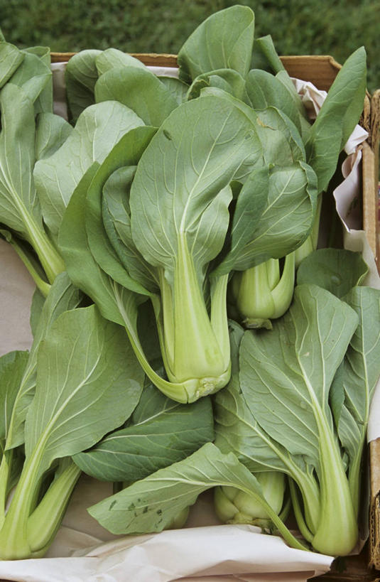 无人,竖图,俯视,室内,特写,白天,植物,蔬菜,叶子,一堆,许多,堆叠,堆积,新鲜,木制,木盒,纹理,青菜,食品,绿叶,很多,食物,一个,绿色,木制品,容器,嫩叶,有机食品,绿色食品,单个,储藏,堆,储存,小白菜,肌理,不结球白菜,叶,叶片,叶脉,彩图,高角度拍摄,贮存