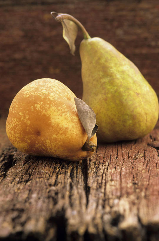 无人,竖图,俯视,室内,特写,白天,桌面,桌子,梨,水果,叶子,阴影,新鲜,反射,木制,影子,生食,食品,果实,枯叶,落叶,食物,两个,黄色,木制品,香梨,有机食品,绿色食品,叶,叶片,生梨,彩图,高角度拍摄