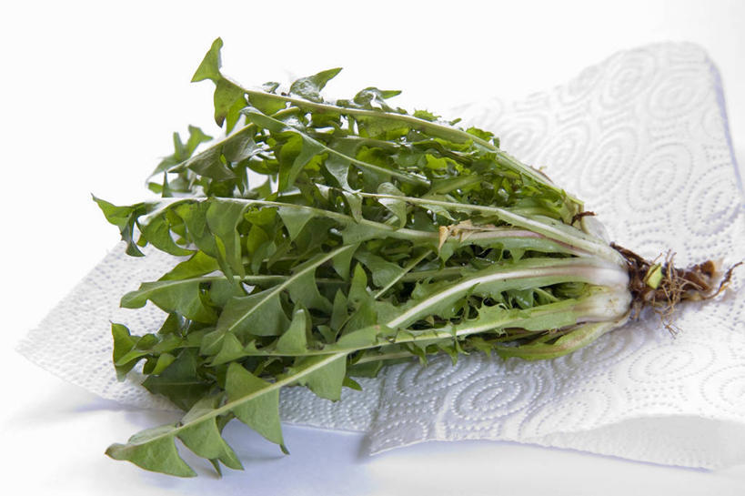 无人,横图,俯视,室内,特写,白天,白色背景,植物,生活用品,桌面,桌子,蔬菜,叶子,阴影,新鲜,反射,木制,纹理,影子,纸,食品,绿叶,蕨菜,食物,绿色,木制品,纸巾,日用品,嫩叶,摄影,有机食品,绿色食品,影棚,卫生纸,野菜,肌理,山珍,生活用纸,叶,叶片,叶脉,彩图,高角度拍摄,影棚拍摄,拍摄