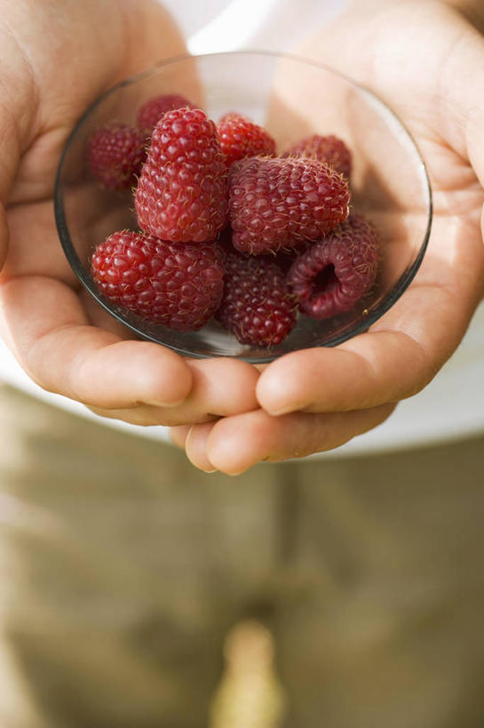 西方人,手,一个人,站,捧,竖图,俯视,室内,特写,白天,水果,玻璃,欧洲,欧洲人,双手,仅一个男性,仅一个人,服装,朦胧,模糊,新鲜,生食,食品,果实,休闲装,玻璃制品,食物,仅一个年轻男性,一个,衣服,红色,容器,碗,站着,休闲,手部,休闲服,服饰,有机食品,绿色食品,单个,储藏,储存,山莓,树莓,三月泡,四月泡,山抛子,刺葫芦,悬钩子,馒头菠,高脚菠,龙船泡,泡儿刺,男人,男性,年轻男性,白种人,端,端着,捧着,手捧,站立,半身,彩图,高角度拍摄,贮存