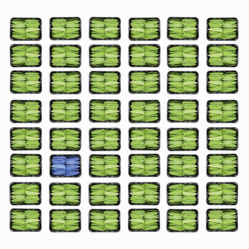 无人,方图,俯视,室内,特写,白天,白色背景,植物,桌面,桌子,豆,扁豆,蔬菜,餐具,一排,许多,阴影,新鲜,整齐,并列,并排,反射,木制,碟子,盘,影子,塑料,豆类,豆子,食品,很多,食物,排列,盘子,木制品,塑料制品,碟,摄影,有机食品,绿色食品,影棚,队列,平行,豆科,白扁豆,羊眼豆,沿篱豆,小刀豆,藤豆,树豆,膨皮豆,南豆,南扁豆,凉衍豆,蛾眉豆,茶豆,藊豆,彩图,高角度拍摄,影棚拍摄,拍摄