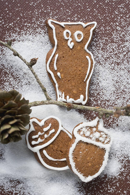 点心,无人,竖图,俯视,室内,特写,白天,植物,餐桌,桌子,猫头鹰,鸟,野生动物,圣诞节,阴影,节日,庆祝,反射,鸟类,影子,食品,坚果,甜点,果实,松果,枝条,文化,树,树木,树枝,食物,糕点,动物,饼干,甜食,干果,零食,庆典,摄影,影棚,餐台,纪念,松塔,凶猛,姜饼,虬枝,枝杈,德式姜饼,残暴,凶残,鸮,枭,彩图,高角度拍摄,影棚拍摄,拍摄