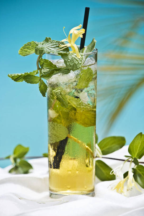 无人,竖图,室内,特写,白天,正面,幸福,餐桌,茶,桌子,杯子,叶子,阴影,反射,影子,塑料,茶叶,薄荷,绿叶,银丹草,一杯,娱乐,玻璃制品,一个,水杯,塑料制品,吸管,享受,休闲,温馨,嫩叶,放松,乐趣,摄影,影棚,单个,餐台,空心,提神,舒适,醒脑,饮管,斑叶凤梨薄荷,苹果薄荷,夜息香,叶,叶片,玻璃杯,彩图,影棚拍摄,拍摄,圆柱状