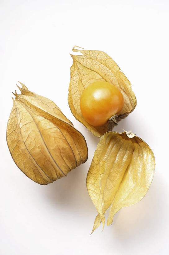 无人,竖图,俯视,室内,特写,白天,白色背景,餐桌,桌子,浆果,水果,阴影,新鲜,反射,影子,灯笼果,生食,食品,果实,食物,三个,摄影,有机食品,绿色食品,影棚,餐台,秘鲁苦蘵,小果酸浆,醋栗,彩图,高角度拍摄,影棚拍摄,拍摄