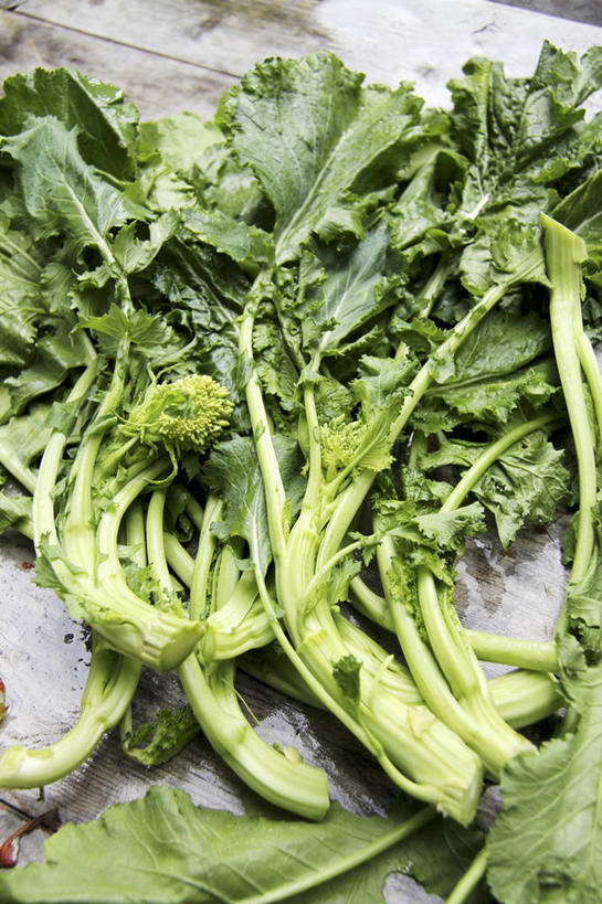 无人,竖图,俯视,室内,特写,白天,餐桌,桌子,蔬菜,椰菜,卷心菜,叶子,一堆,许多,阴影,堆叠,堆积,朦胧,模糊,新鲜,反射,影子,食品,绿叶,食物,嫩叶,甘蓝,摄影,有机食品,绿色食品,影棚,餐台,堆,叶,叶片,结球甘蓝,甘兰,包心菜,彩图,高角度拍摄,影棚拍摄,拍摄