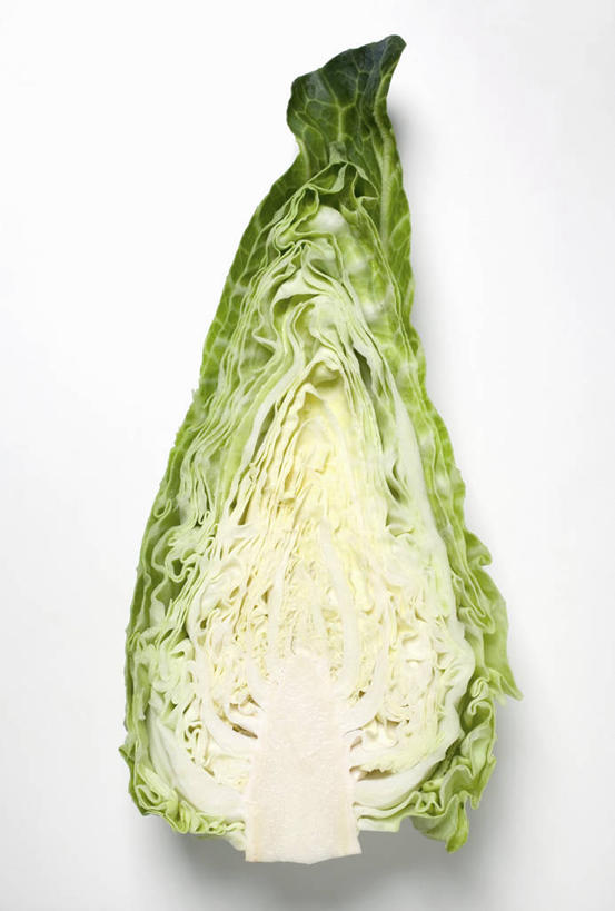 无人,竖图,俯视,室内,特写,白天,白色背景,餐桌,桌子,蔬菜,椰菜,卷心菜,切开,阴影,新鲜,反射,影子,食品,食物,一个,切,甘蓝,摄影,有机食品,绿色食品,影棚,单个,餐台,剖面,切面,结球甘蓝,甘兰,包心菜,彩图,高角度拍摄,影棚拍摄,拍摄