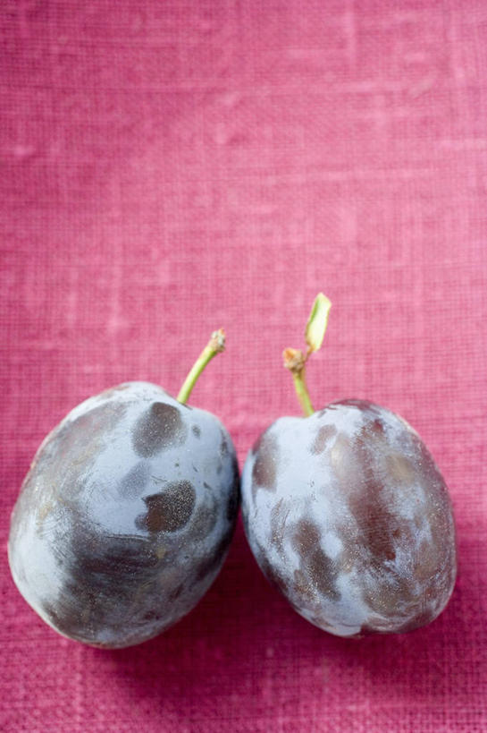 无人,竖图,俯视,室内,特写,白天,餐桌,桌子,李子,水果,阴影,紫色背景,新鲜,反射,影子,生食,食品,果实,食物,两个,紫色,摄影,有机食品,绿色食品,影棚,餐台,红李,鸡血李,杏李,彩图,高角度拍摄,影棚拍摄,拍摄