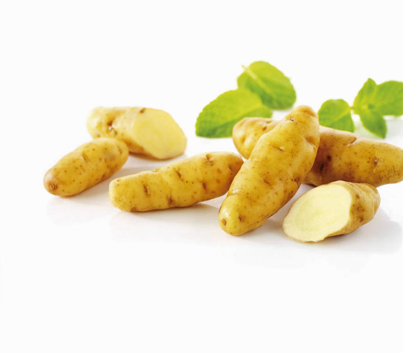 无人,横图,俯视,室内,特写,白天,白色背景,餐桌,桌子,蔬菜,土豆,叶子,一堆,许多,切开,阴影,堆叠,堆积,新鲜,反射,影子,食品,绿叶,食物,切,嫩叶,摄影,有机食品,绿色食品,影棚,餐台,堆,剖面,切面,馍馍蛋,叶,叶片,洋芋,山药蛋,马铃薯,彩图,高角度拍摄,影棚拍摄,拍摄