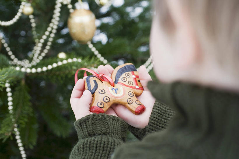 点心,西方人,儿童,手,一个人,站,捧,横图,俯视,室内,特写,白天,毛衣,纯洁,植物,欧洲,圣诞节,欧洲人,双手,仅一个男性,仅一个人,阴影,节日,朦胧,模糊,庆祝,装饰,反射,挂饰,影子,食品,甜点,圣诞树,圣诞球,文化,球,树,树木,食物,糕点,小孩,绿色,自然,饼干,甜食,零食,站着,仅一个小孩,庆典,球体,手部,可爱,童年,童趣,生长,成长,纪念,华丽,修饰,点缀,线衫,童真,烂漫,无邪,姜饼,衬托,美观,雅致,雅观,德式姜饼,天真,男孩,男人,男性,白种人,孩子,端,端着,捧着,手捧,站立,半身,彩图,高角度拍摄,绒衣,套衫,套头毛衣,线衣,男生