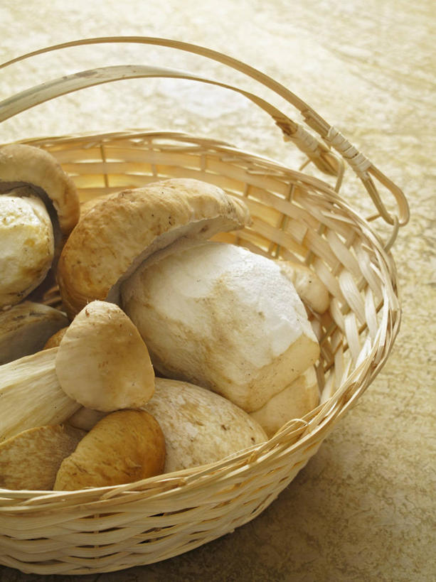 无人,交叉,竖图,俯视,室内,特写,白天,餐桌,桌子,竹子,一堆,许多,阴影,堆叠,堆积,竹制,编织,反射,篮子,影子,菌菇,蘑菇,菌类,中药,一个,竹篮,食用菌,摄影,影棚,单个,餐台,竹条,堆,交织,竹制品,药材,牛肝菌,中药材,穿插,美味牛肝菌,大脚菇,彩图,高角度拍摄,影棚拍摄,拍摄