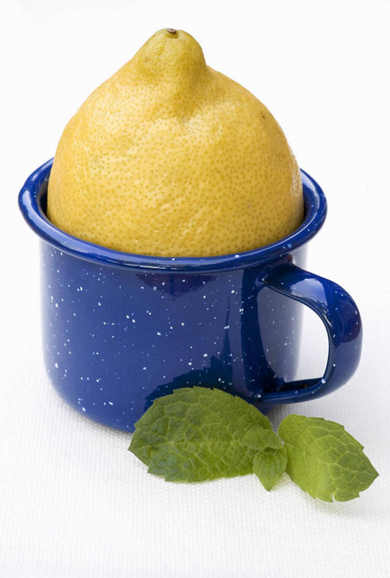 无人,竖图,俯视,室内,特写,白天,白色背景,餐桌,桌子,柠檬,杯子,水果,叶子,阴影,新鲜,反射,瓷器,影子,生食,薄荷,食品,果实,绿叶,银丹草,咖啡杯,陶瓷制品,食物,一个,黄色,蓝色,嫩叶,摄影,有机食品,绿色食品,影棚,单个,餐台,瓷杯,斑叶凤梨薄荷,苹果薄荷,夜息香,叶,叶片,益母果,柠果,彩图,高角度拍摄,影棚拍摄,拍摄